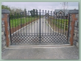 Wrought Iron Gate with Trellis